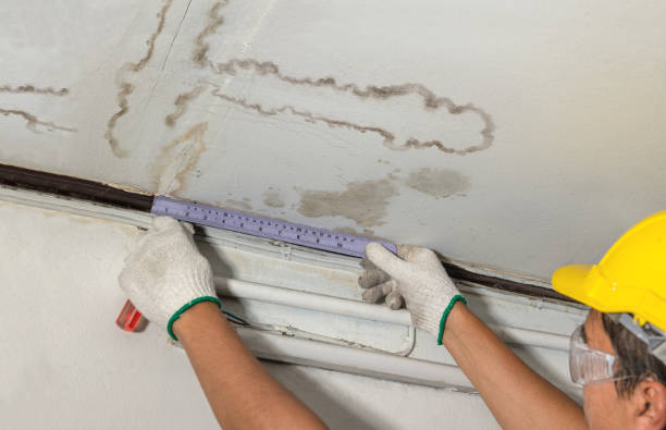 Reliable Water Damage contractor in Halifax, MA by Water Damage Irwin
